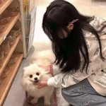 宝贝娃娃超市最新版下载